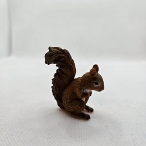 Ecureuil - Collecta