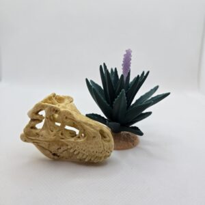 Crâne de dinosaure et agave exclusif 97152 - Schleich