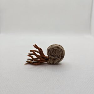 Ammonite exclusive 97152 - Schleich