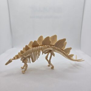 Squelette de Stégosaure exclusif 97152 - Schleich