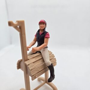 Cavalière amatrice violette 42359 - Schleich