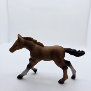 Poulain Pur-Sang Anglais - Collecta
