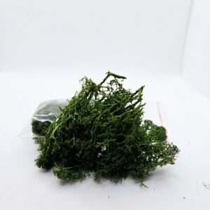 Sachet mousse artificielle verte "grossiére"