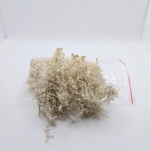 Sachet mousse artificielle blanche "grossiére"