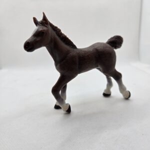 Poulain Anglo Arabe 51076 - Papo