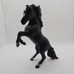 Jument Anglo Arabe 51075 - Papo