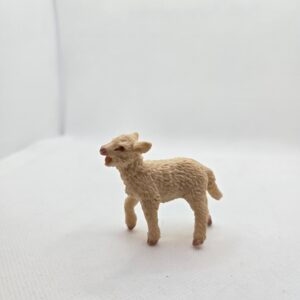 Agneau - Safari LTD