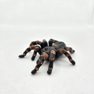 Mygale 14829 - Schleich