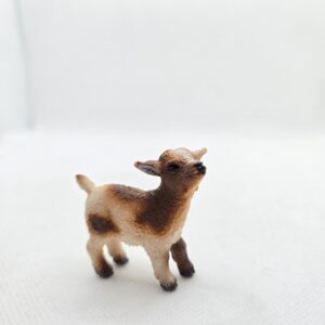 Chevreau 13716 - Schleich