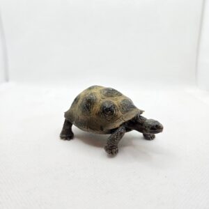 Tortue géante 14601 - Schleich