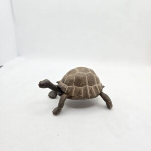 Tortue terrestre 50013 - Papo