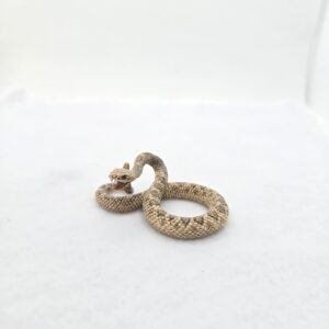 Serpent à sonnette 14740 - Schleich