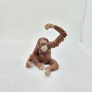 Orang-outan, femelle 14775 - Schleich
