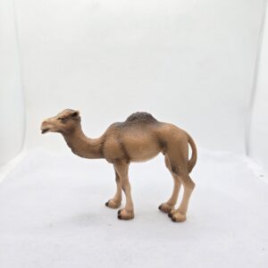 Dromadaire, femelle 14355 - Schleich