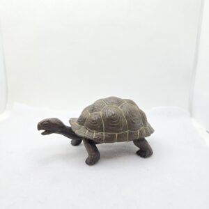 Bébé tortue Galapagos 260829 - Safari LTD XL