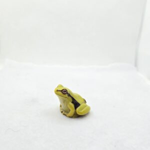 Grenouille verte exclusive 42474 - Schleich