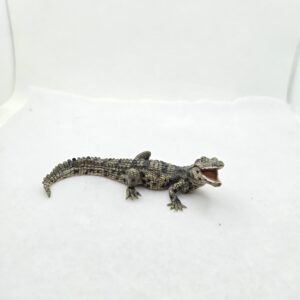 Bébé crocodile 50137 - Papo