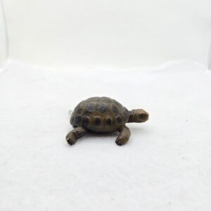 Tortue 14404, avec étiquette - Schleich