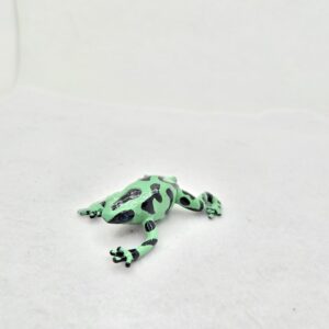 Grenouille Dendrobate - Safari LTD