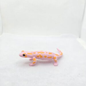 Salamandre 17120 EDEKA - Schleich
